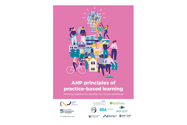AHP principles of practice based learning 600 x 400