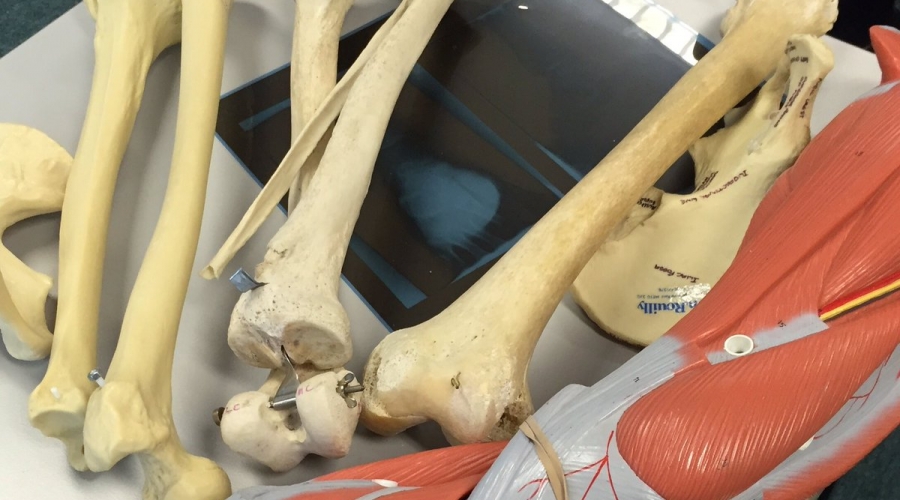 AspireMe Project Gives Children The Chance To Experience Podiatry AspireMe Project Gives Children The Chance To Experience Podiatry